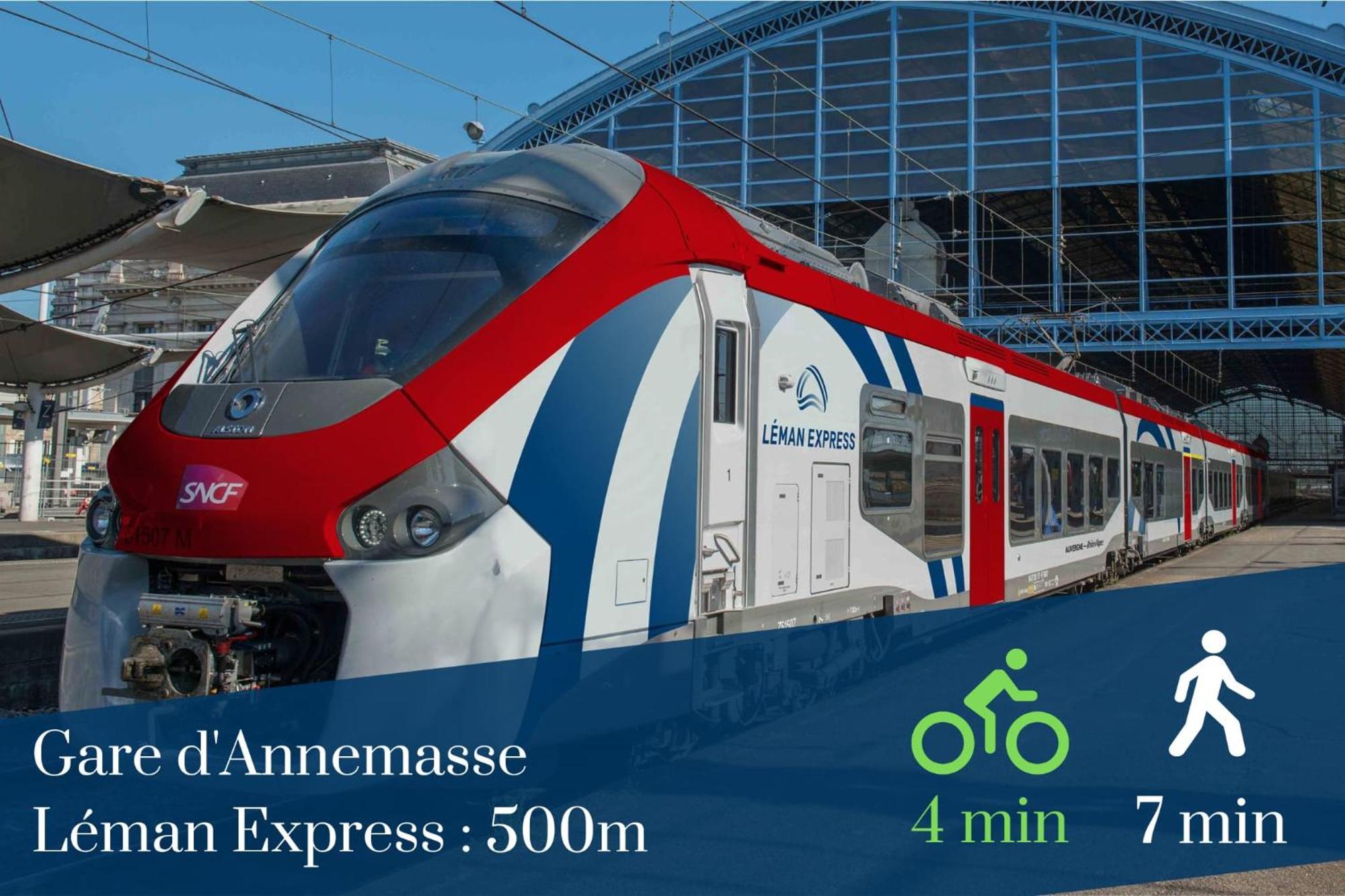 Homey Vintage - Hypercentre - Proche Gare Et Tram - Terrasse Privee - Wifi Gratuit