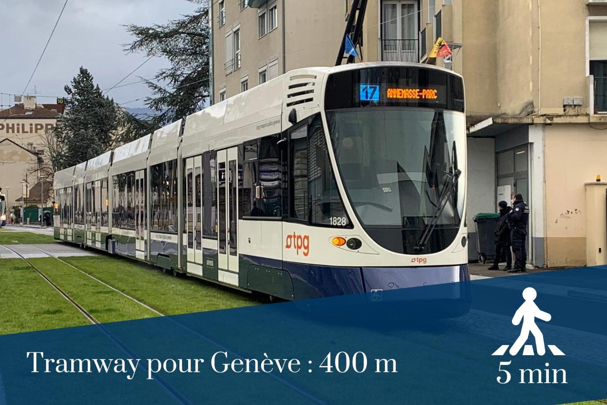 Apartment Homey Vintage - Hypercentre - Proche Gare Et Tram - Terrasse Privee - Wifi Gratuit Annemasse