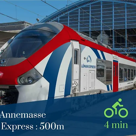 Homey Vintage - Hypercentre - Proche Gare Et Tram - Terrasse Privee - Wifi Gratuit Annemasse Exterior photo